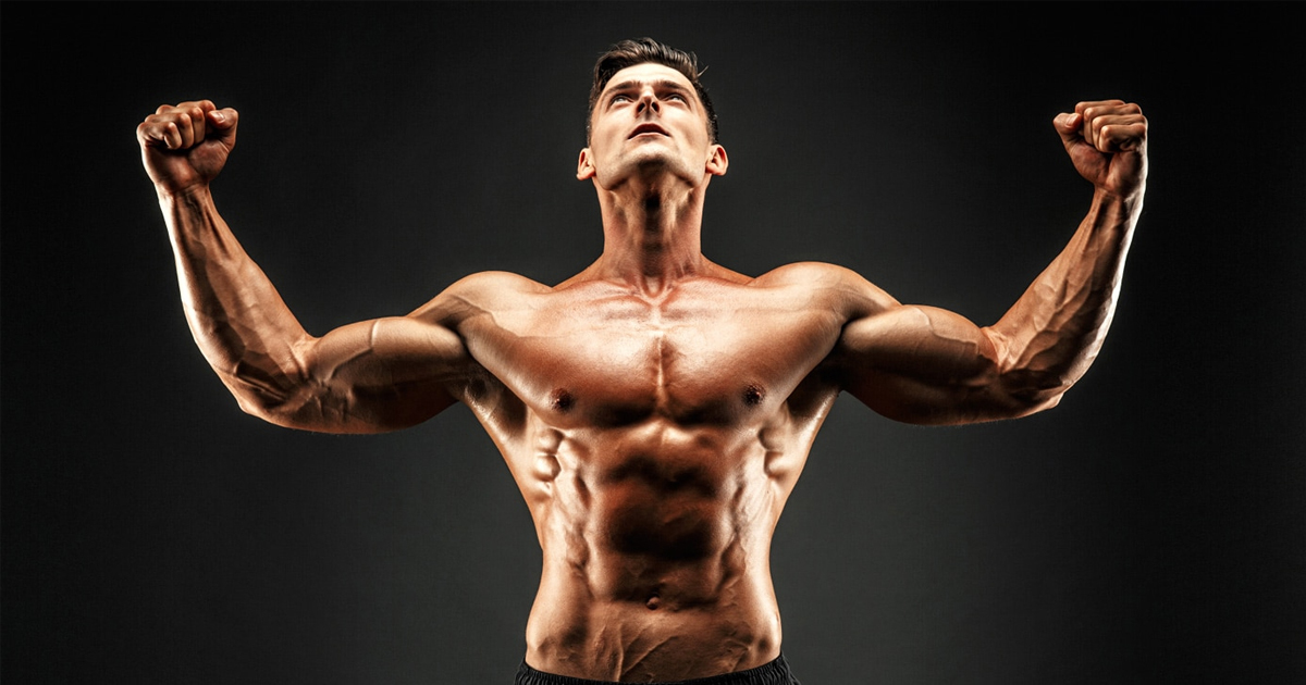 Stop Guessing And Start Lifting With A 28-Day Gym Blueprint Built For Beginners