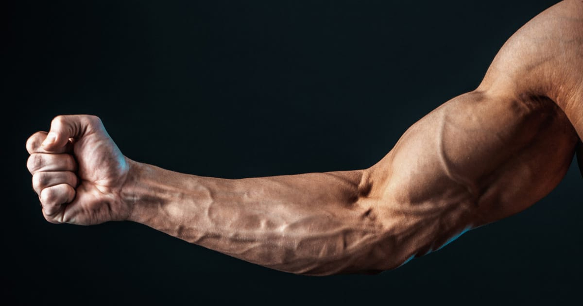 Forge Home-Ready Forearms With a No-Equipment Grip Blueprint